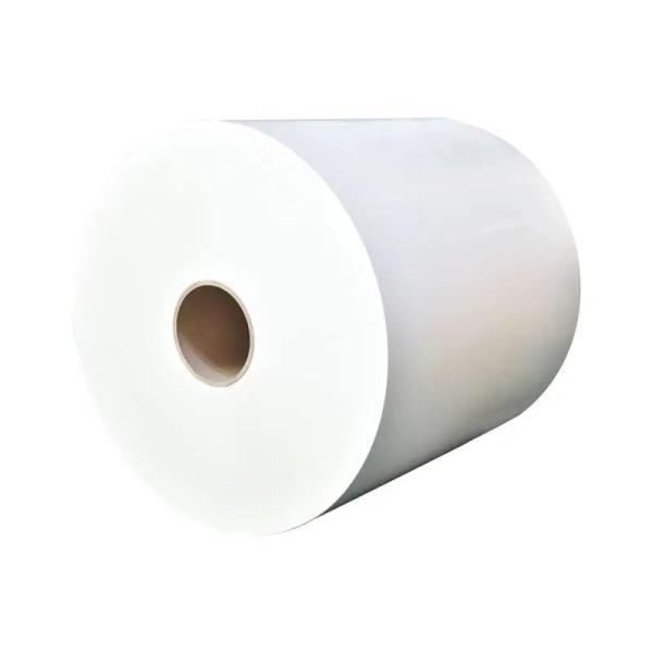 Customized Color and Logo for PE Coated Paper Roll for Branding and Marketing