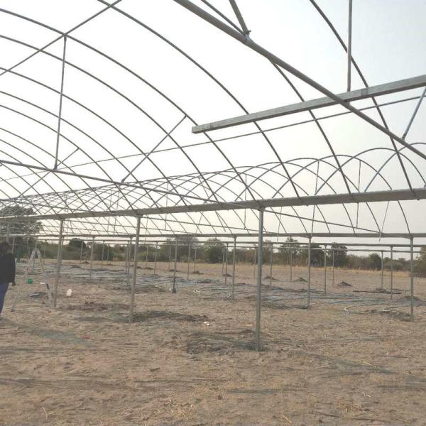 Film Covered Greenhouse for Agriculture in Namibia Affordable and Customizable Height