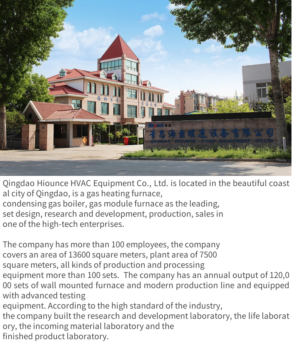 LED Wall Mounted Condensing Boiler 40kw 20kw White Shell  Lpg Condensing Boiler