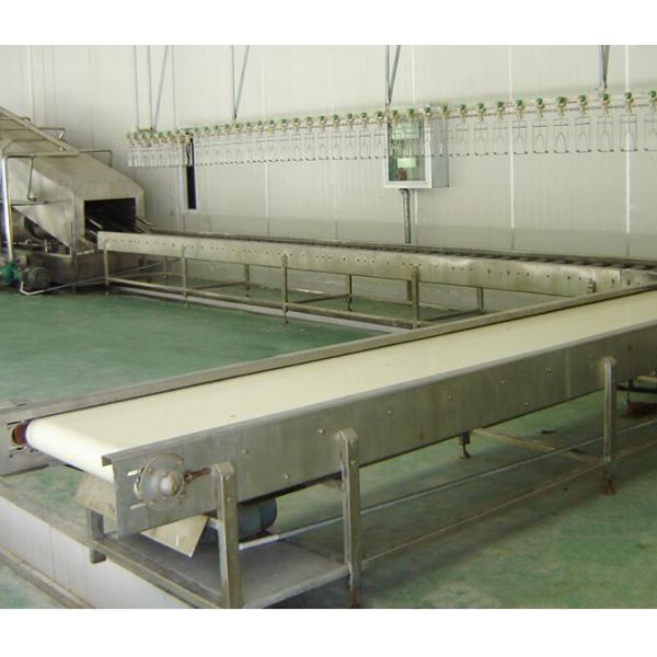 Stainless Steel Slaughterhouse Equipment Automatic Chicken Production Line