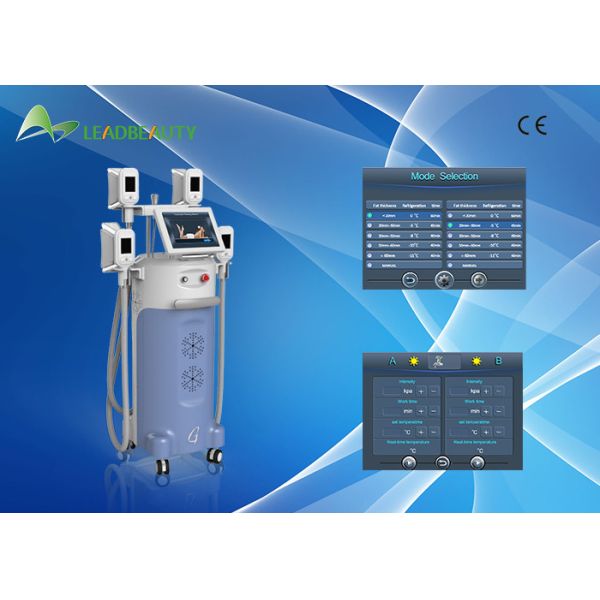 CE approved 0.1 Celsius adjustable fat freezing cryolipolysis