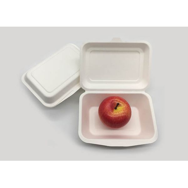 Recipientes de alimento afastado biodegradáveis naturais da polegada 7×5