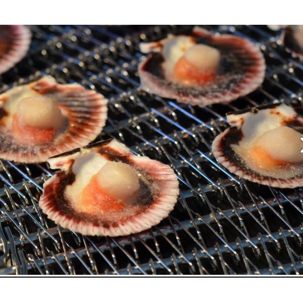 Пояс сетки нержавеющей стали качества еды 316 печи морепродуктов замерзая спиральный