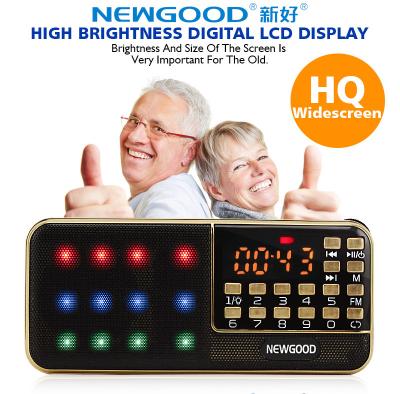 NEWGOOD 2018 Bluetooth stereo fm radio with built in amplifier speaker 18650 battery rechargeable usb charger