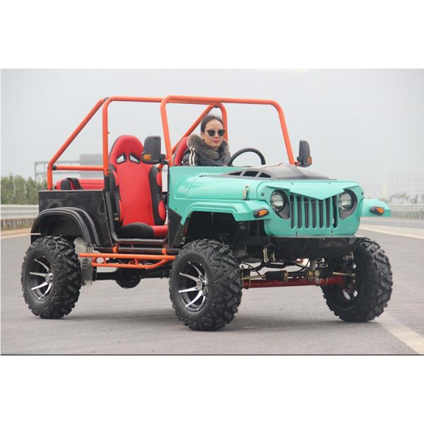 Взрослые идут Kart 300cc сильное с багги дороги Gradeability 45 градусов взбираясь