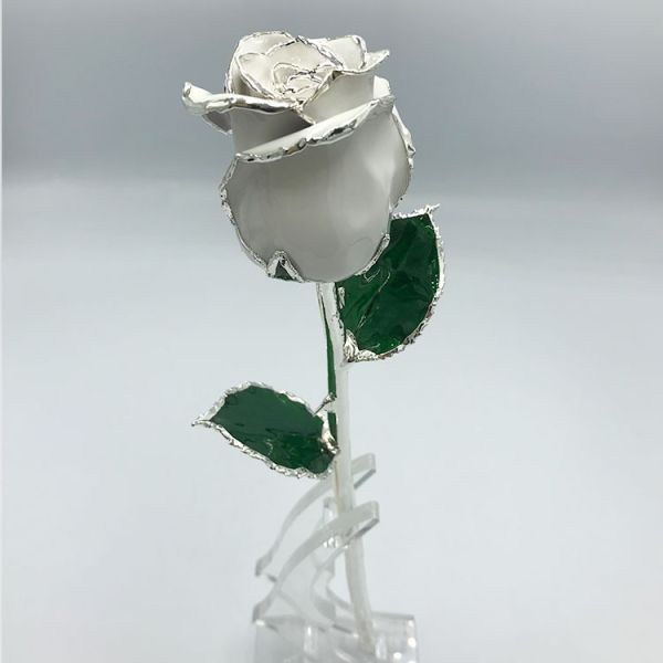 Silver Trimmed  Real Roses Romantic Gifts Beautiful Flower Decoration Hot Sale