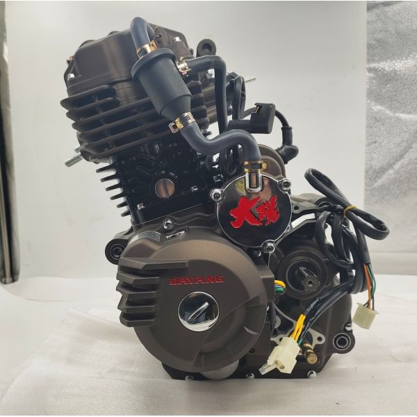 Fit ATV UTV Tricycle Motorcycle Engine Assembly for DAYANG LF 300cc Water Cooled