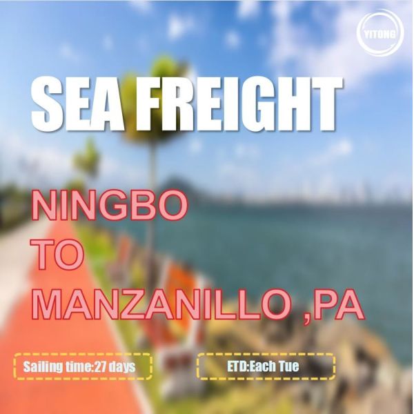 DDU DAP International Sea Freight From Ningbo To Manzanillo Panama