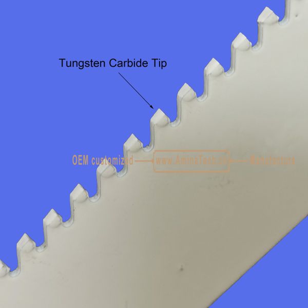 Tungsten Carbide Tipped Recipes Blade 9