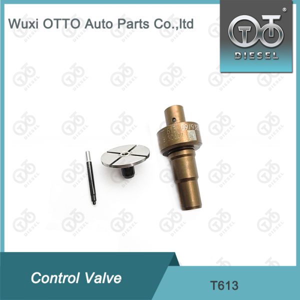 T613 Common Rail Control Valve Cap Applied 0445110551