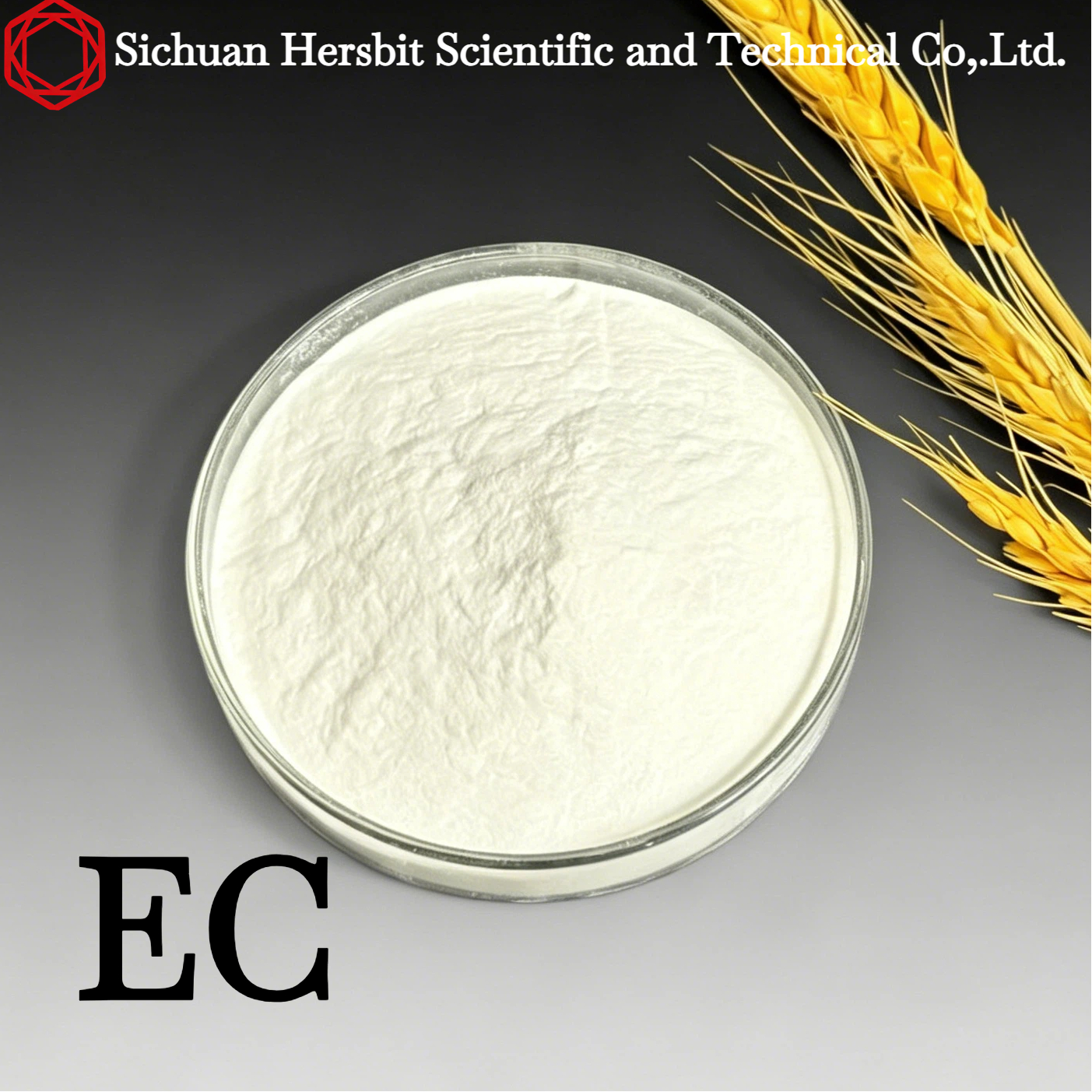 Application and Performance Study of Ethyl Cellulose Coating Materials in Abrasive Tool Manufacturing 