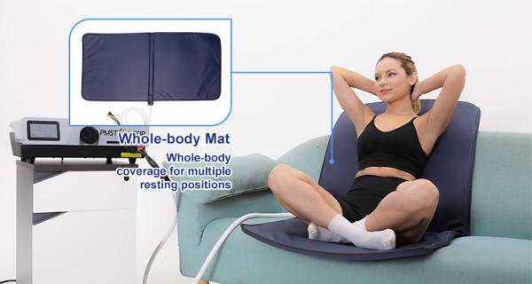 EMTT Pemf Magnetic Mat Physio Magneto Therapy Pmst Loop Machine