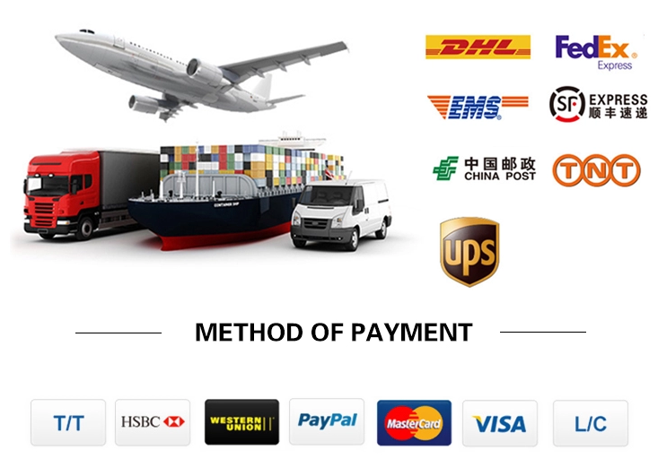 крышка ботинка 15x36cm устранимая, крышки ноги HH устранимые пластиковые