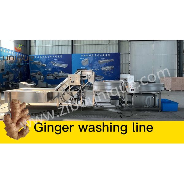 Промышленная автоматическая машина для очистки и очистки яблок от персимона для пищевой промышленности