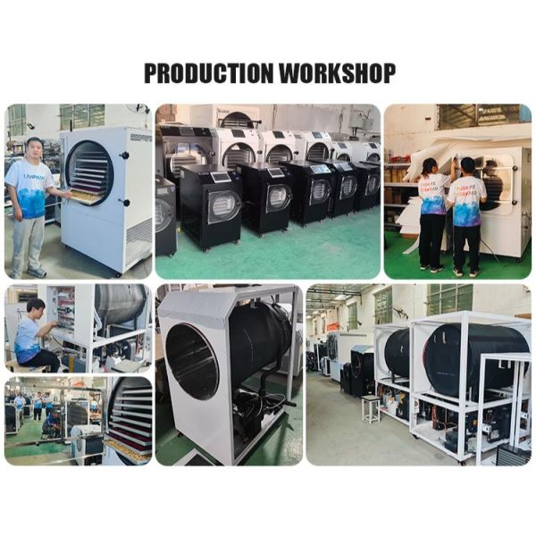 Commercial 50kg Vacuum Freeze Dryer Machine Food Lyophilizer Freeze Dryer Vacuum Dryer Machine