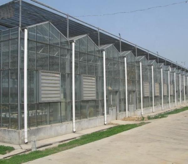 Electric Small Shutter Hammer Fan for Poultry Greenhouse 380v for Industrial Chicken Houses OEM Customizable Promotional Price