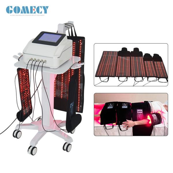 GOMECY Professional 5D MAX LIPO laser beauty equipment lipo laser slimming