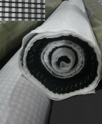 High Strength Biaxial Composite Geogrid Geocomposite Mesh Reinforcement Soft Soil