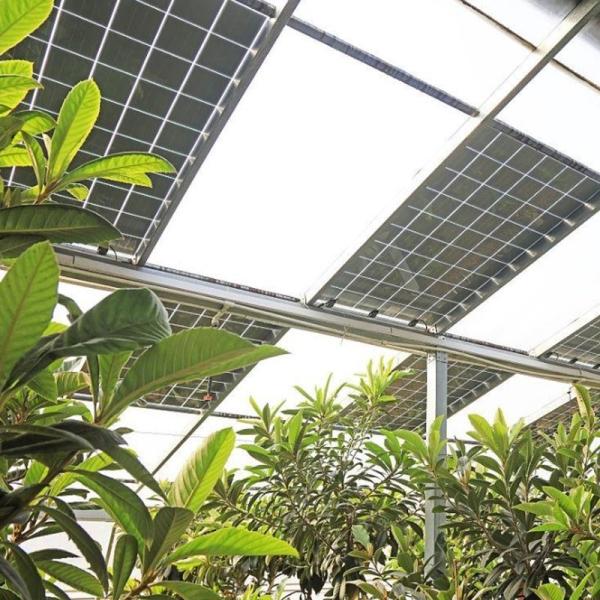 Frigorífico solar fotovoltaico com arco de múltiplas faixas, tipo PE/Po, de película plástica, para desempenho