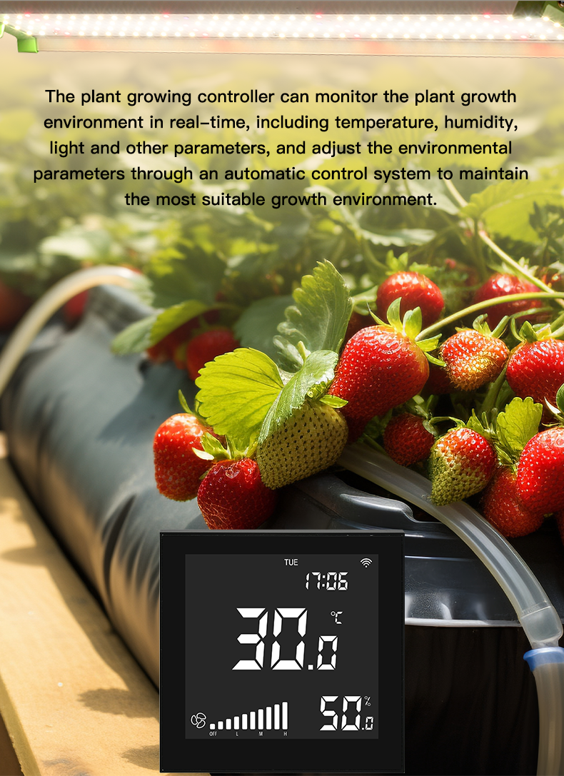Wall Mounted Greenhouse Controllers humidity Temperature Controller For Smart Farming