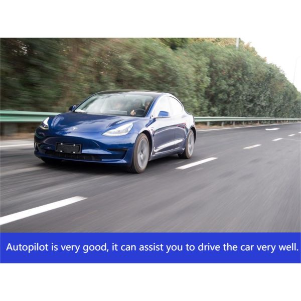 Pure Electric Model3 556km Rear Wheel Drive with 2875mm WHEELBASE