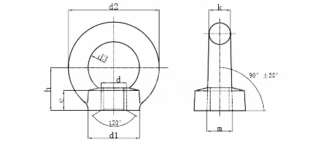 100% Inspection Before Shipment OEM Forged Galvanized Steel Lifting Eye Nuts