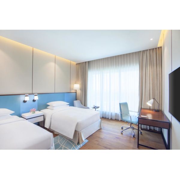 India Hyatt Hotel Blue Theme National Features Thin Structure Furnitures