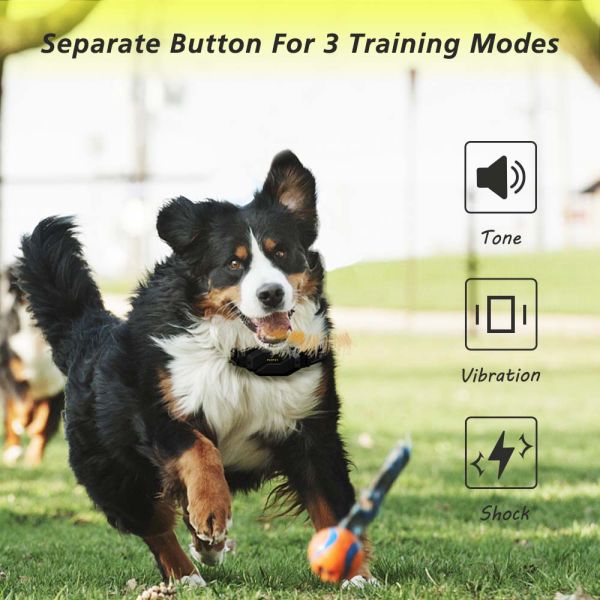 High End Fashion Large Dog Training E-Collar Set 4000FT 1200M Remote Waterproof IPX7 Rechargeable Eco-Friendly Nylon Shock