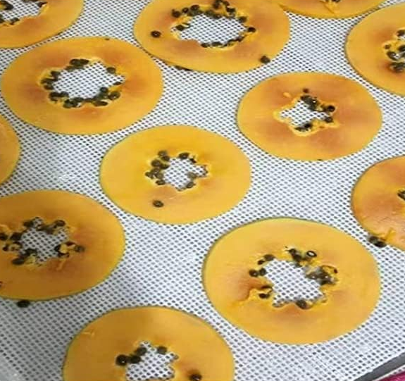 Reusable Food Grade Heat Resistant Non Slip BPA Free Silicone Mesh Pastry Cookies Macaron Bread Oven Non Stick Baking Mat