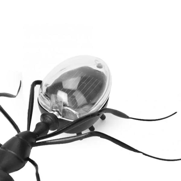 Black Solar Powered Ant Simulation Early Education Solar Insect Toy