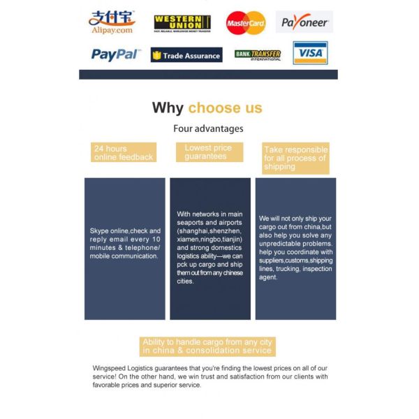 Обслуживание агента обслуживания груза большого выполнения складирования консолидации международное