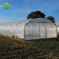 Résistance élevée Installation facile Poly tunnel Serre Insecte de prévention Augmenter la production