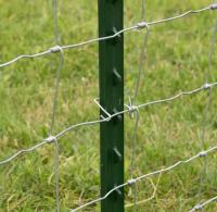 School Playground V Mesh Security Fencing Child Safety