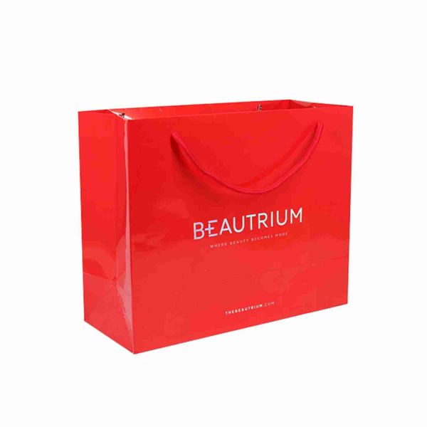 ISO Custom Printed Paper Gift Bags Bulk Order CMYK / Pantone Color