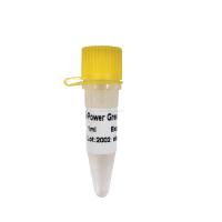 Power Green QPCR Mix High ROX+ pour le PCR en temps réel ABI