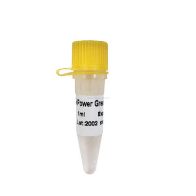Power Green QPCR Mix High ROX+ for ABI Real Time PCR