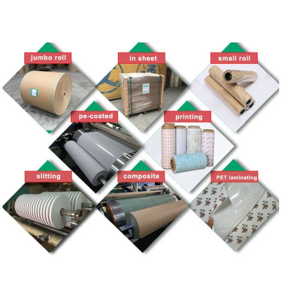 Recyclable глина 140gsm 170gsm белая покрыла доску задней части Kraft для держателя бумажного стаканчика