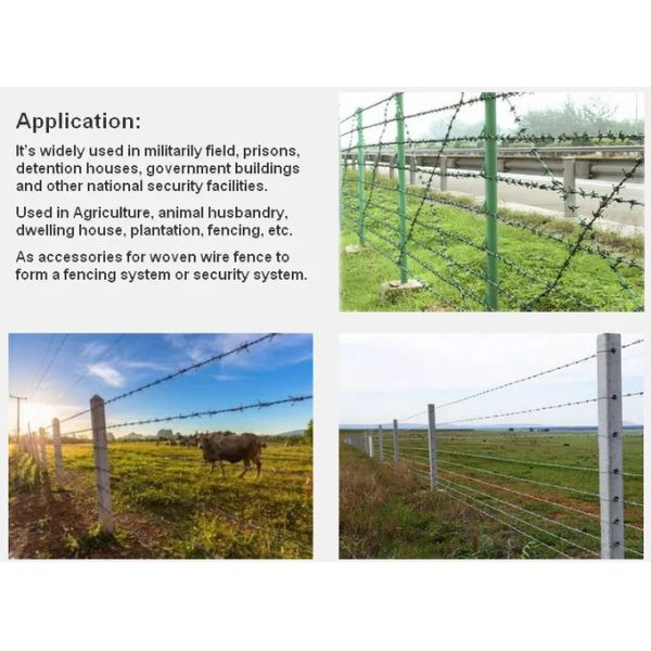 Boundary Wall Galvanized Steel Barbed Wire 12*14 Gauge