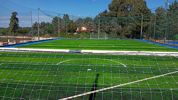 50mm 60mm Turf Synthetic Grass For Football Stadium