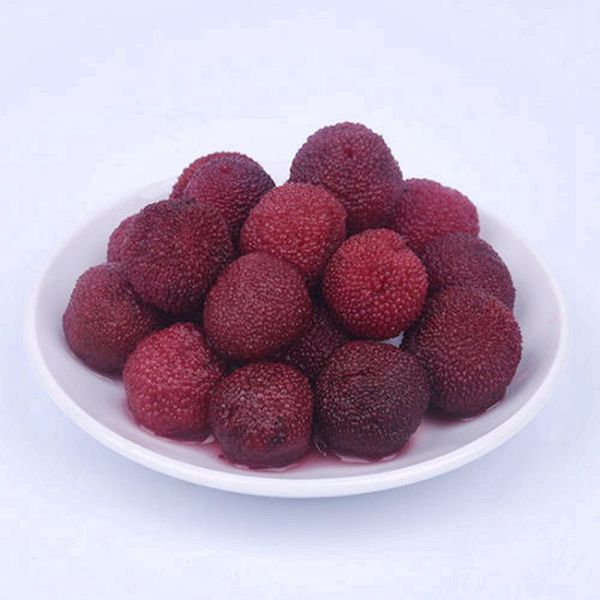 Pure Natural Canned Waxberry / Bayberry In Syrup Fresh Taste Organic Canned Fruit