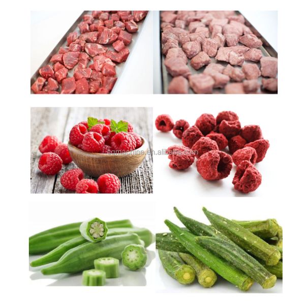 10 bandejas secadora de frutas con vacío/ secadora de frutas con vacío/ máquina de caramelos secados con vacío