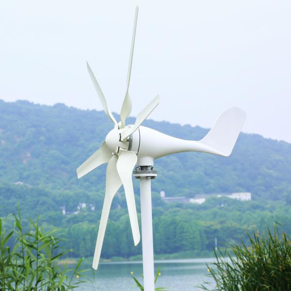 Lifepo4 Battery Wind Solar Hybrid System 3Kw Pure Sine Wave Low Frequency