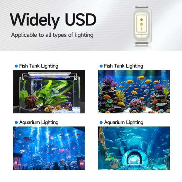 Full Spectrum 5730 SMD LED Chip  white 6500K 7000K Mix Whtie Color Customization Available 1W For Aquarium lights aquatic plants and tropical fish