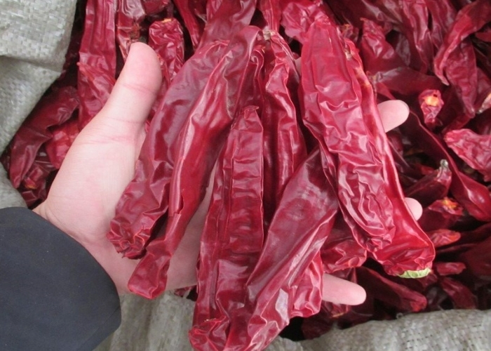 Ручка Мексика Guajillo 220 ASTA высушила влагу Chiles 14% Guajillo