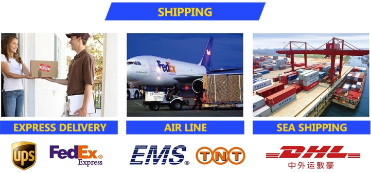 Colorful Ankle Custom Sports Socks Fashion Sport Sock Men's Ankle Socks