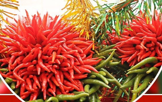 Ранг стручки высушенные красные Chili едкое Xinglong высушило перец Кайенны