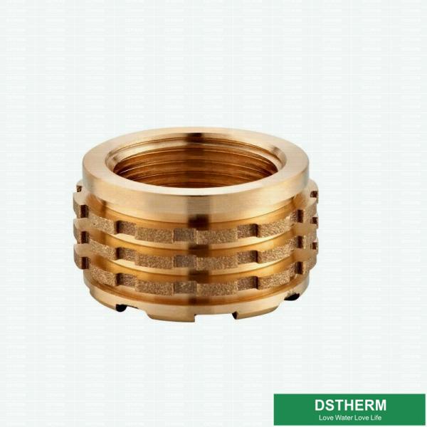 As inserções de cobre personalizaram inserções de bronze fêmeas de Ppr dos projetos com cor de cobre Shinning