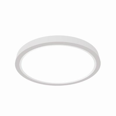 9 Inch LED Ceiling Light OEM/ODM Service Professional For Stairwells Bedrooms