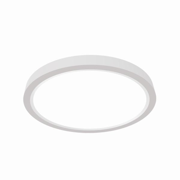 9 Inch LED Ceiling Light OEM/ODM Service Professional For Stairwells Bedrooms