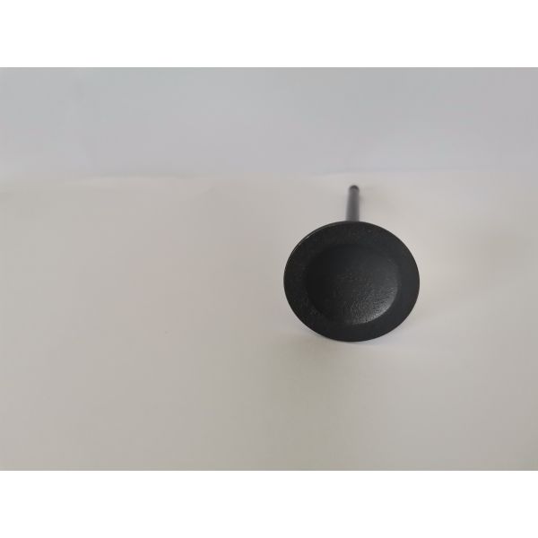 Automotive Engine Intake Valves For Ford Ecosport / Mondeo 2.0l 16v 3094ac